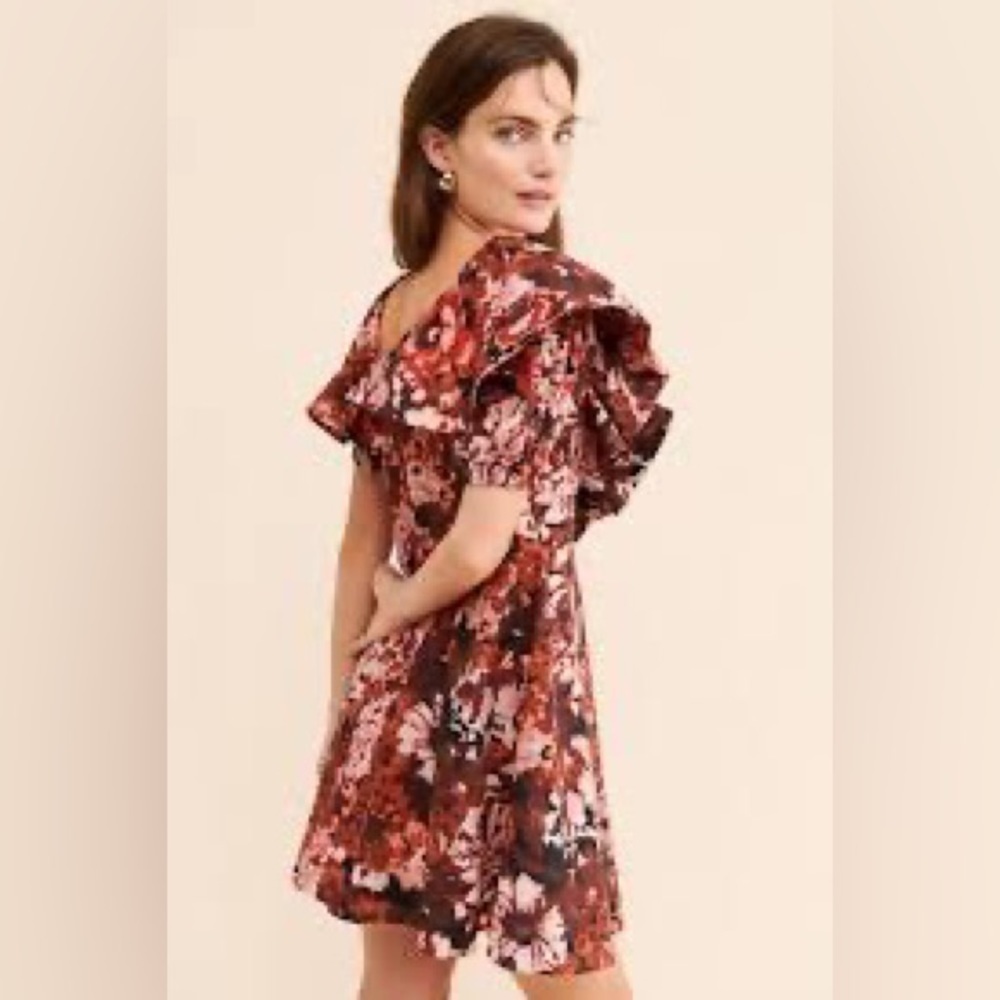 Floral Ruffle Sleeve Dress - Picture 2 of 8